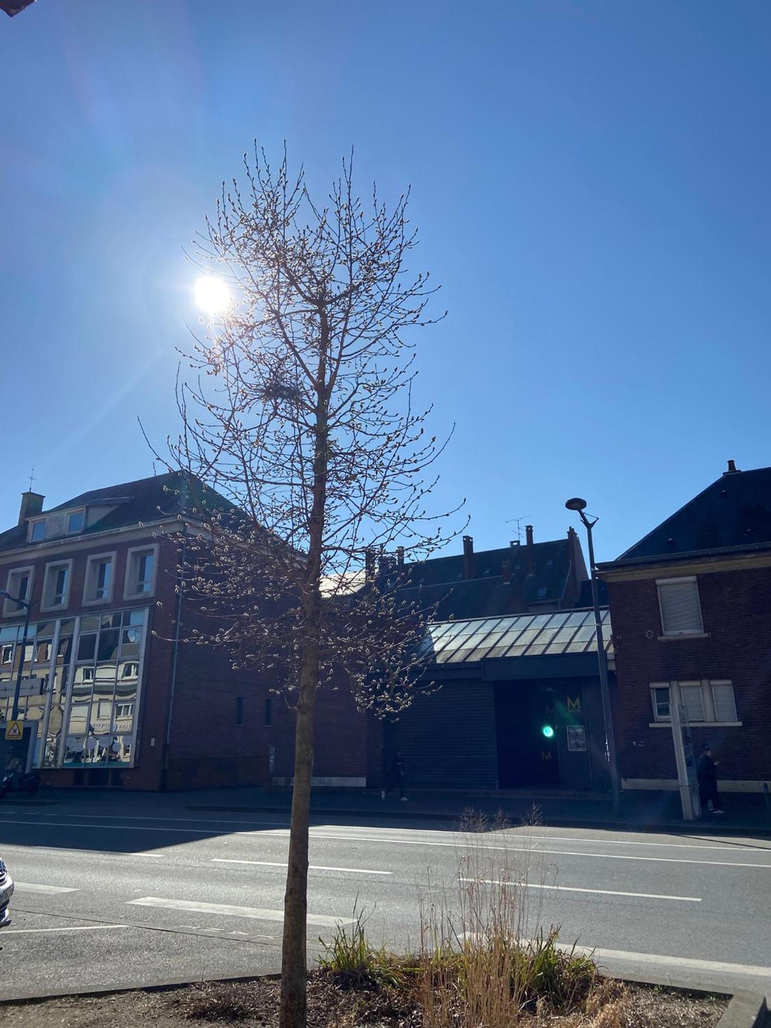 2 Chambres Hyper Centre Avec Place De Parking Et Wifi Amiens Luaran gambar